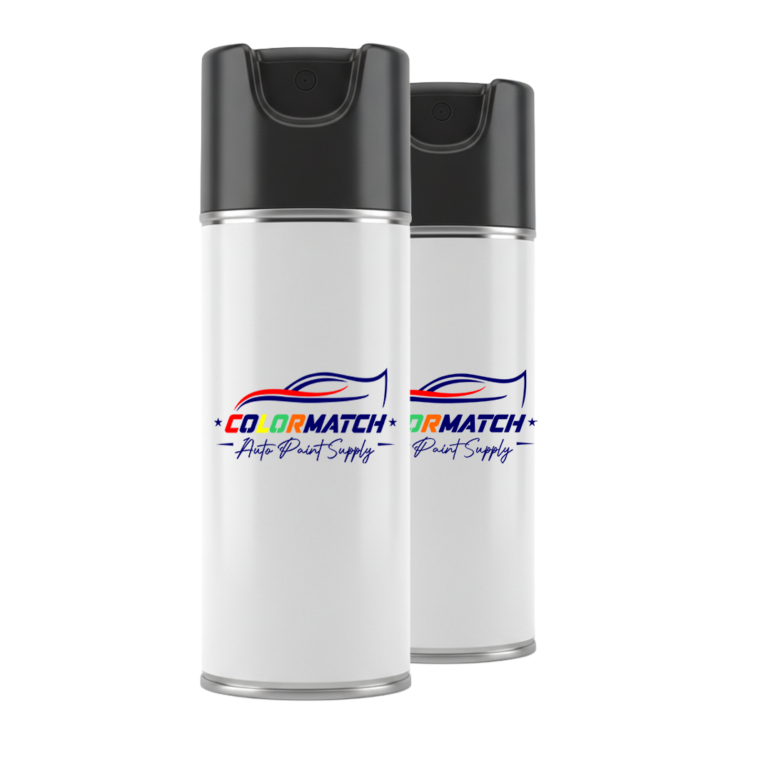 Spray Paint Kit – 12oz (Paint + Clearcoat)